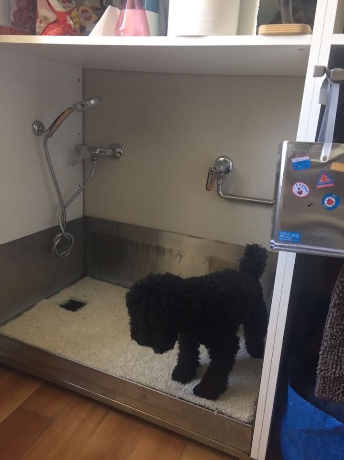A tiled pet wash bay with a hand shower and wall mixer, with a dog standing in it